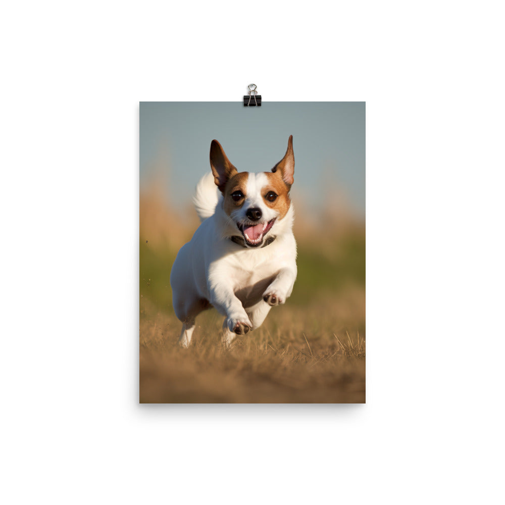 Jack Russell Terriers Comical Expression Photo paper poster - PosterfyAI.com