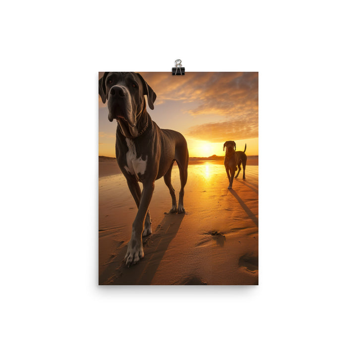 Great Danes at Sunset Photo paper poster - PosterfyAI.com