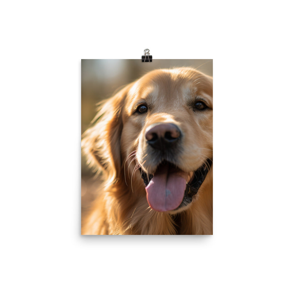 Golden Retriever Photo paper poster - PosterfyAI.com