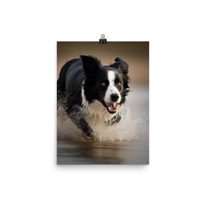 Energetic Border Collie in Action Photo paper poster - PosterfyAI.com