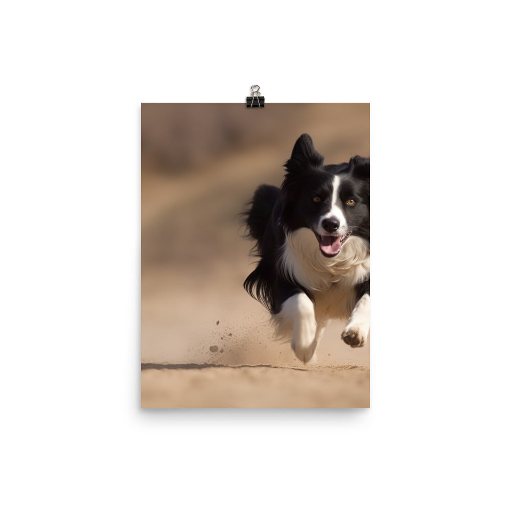 Energetic Border Collie in Action Photo paper poster - PosterfyAI.com