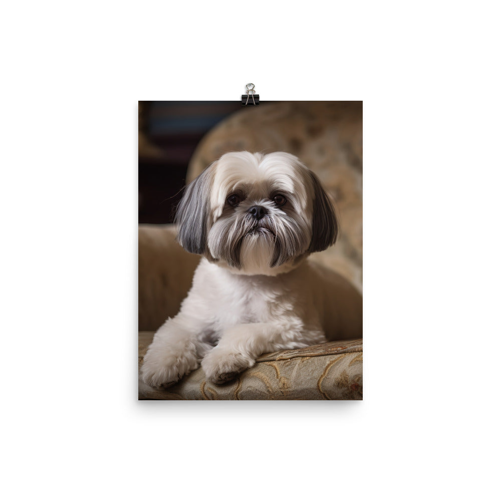 Elegant Shih Tzu Portrait Photo paper poster - PosterfyAI.com