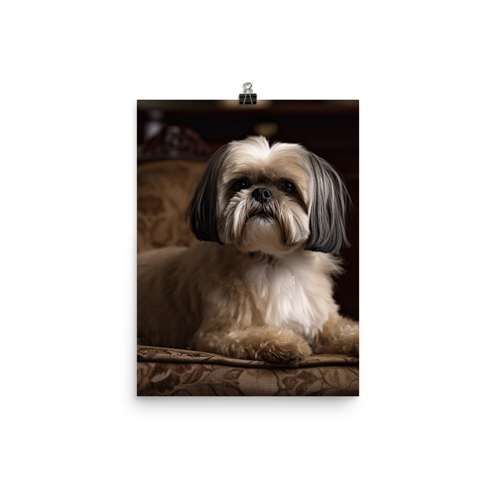 Elegant Shih Tzu Portrait Photo paper poster - PosterfyAI.com