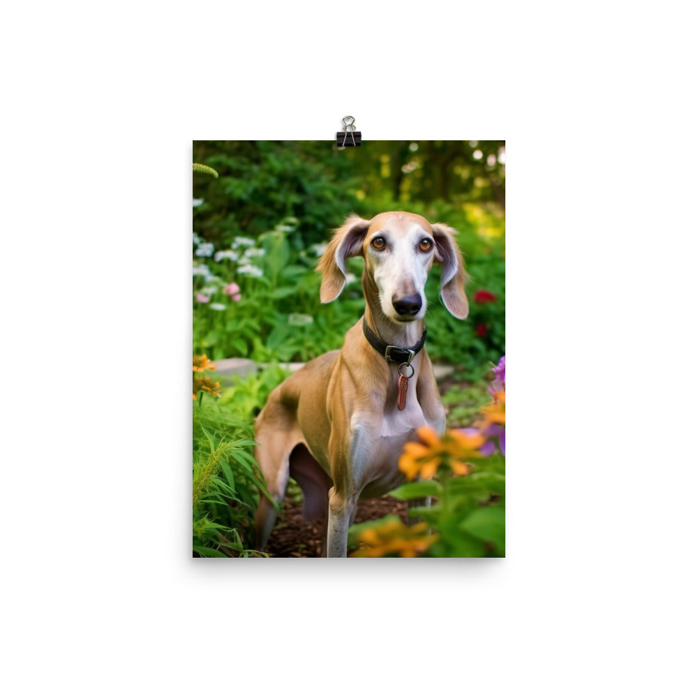 Elegant Saluki Photo paper poster - PosterfyAI.com