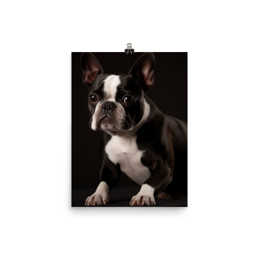 Elegant Boston Terrier Portrait Photo paper poster - PosterfyAI.com
