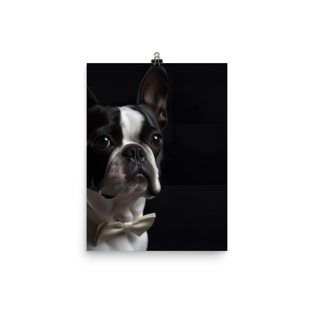 Elegant Boston Terrier Portrait Photo paper poster - PosterfyAI.com