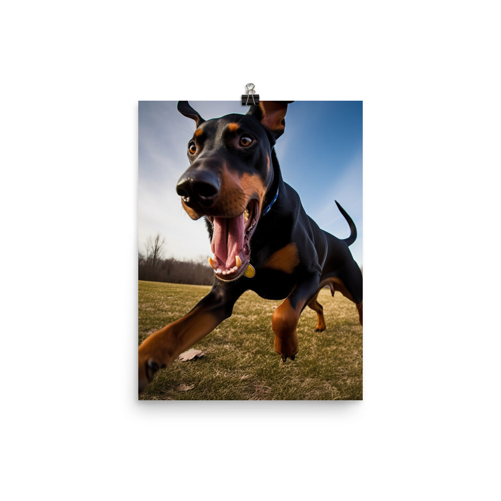 Doberman Pinschers love of running Photo paper poster - PosterfyAI.com