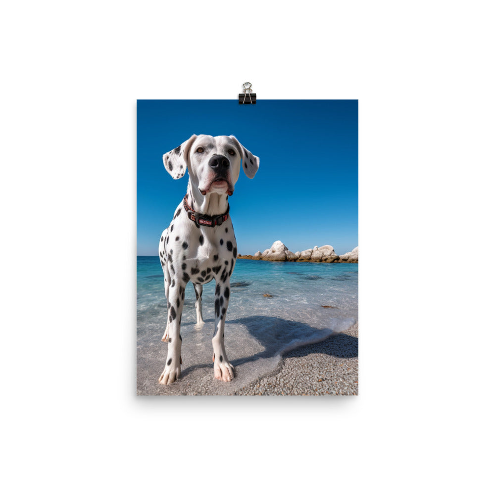 Dalmatian on the Beach Photo paper poster - PosterfyAI.com