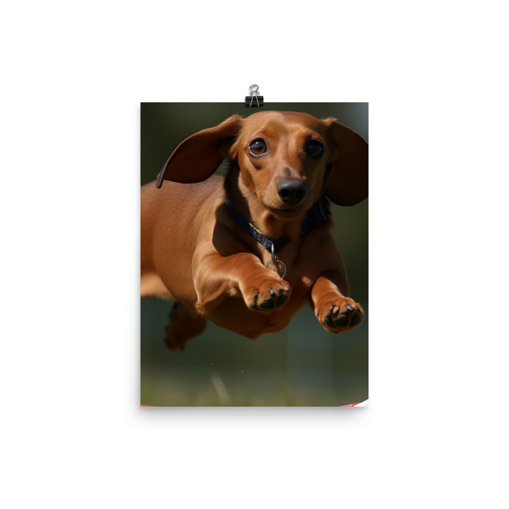 Dachshund Agility Training Photo paper poster - PosterfyAI.com