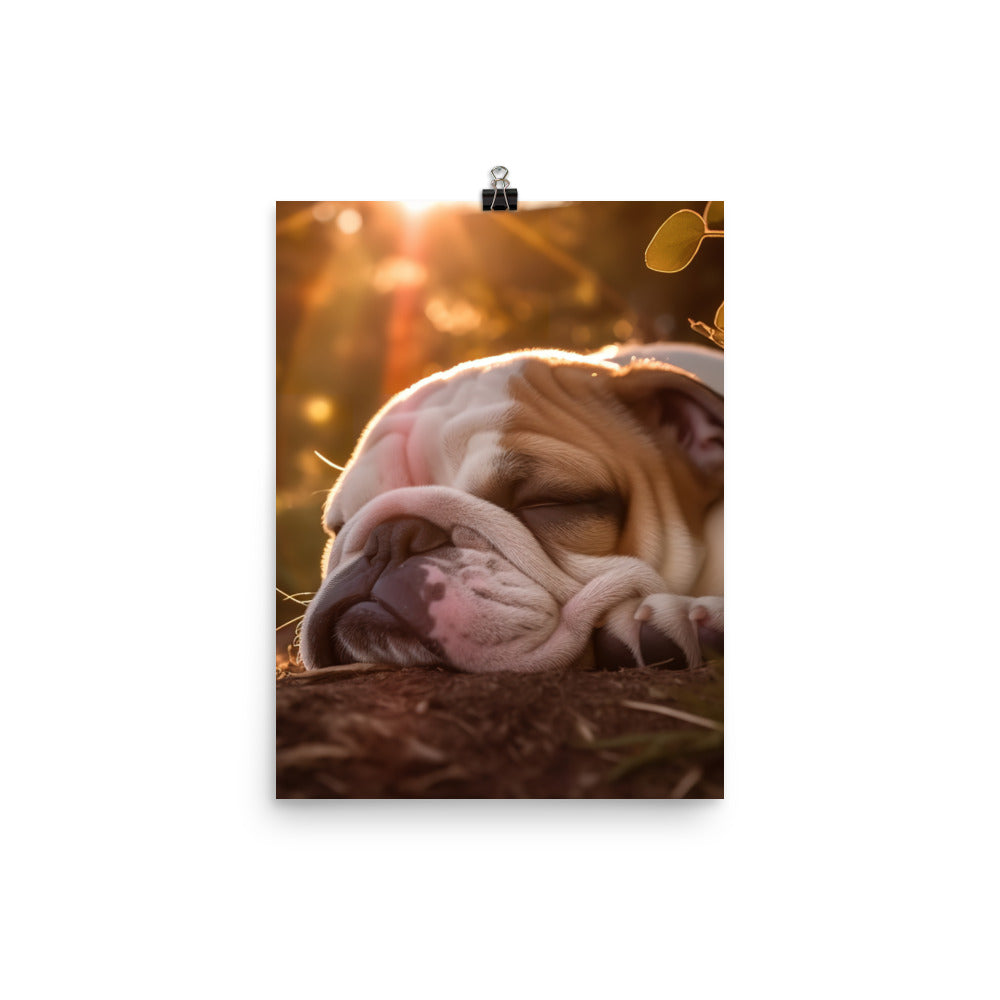 Cute Bulldog in the Sun Photo paper poster - PosterfyAI.com