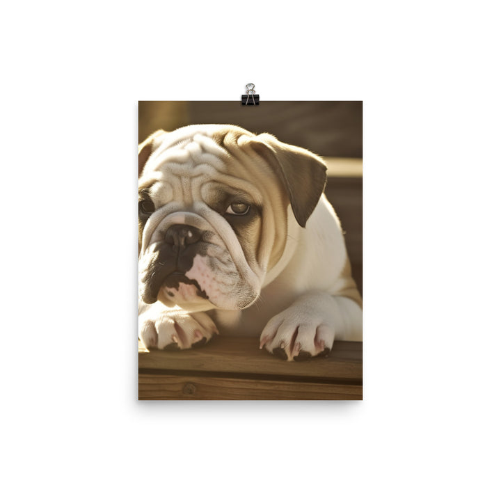 Cute Bulldog in the Sun Photo paper poster - PosterfyAI.com