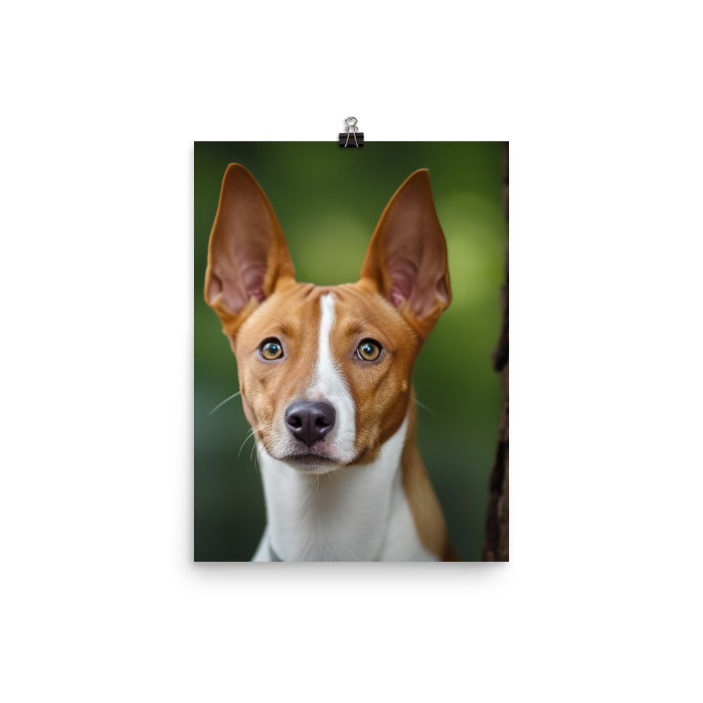 Curious Basenji Photo paper poster - PosterfyAI.com