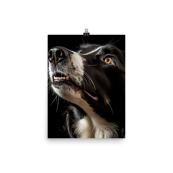 Clever Border Collie Photo paper poster - PosterfyAI.com