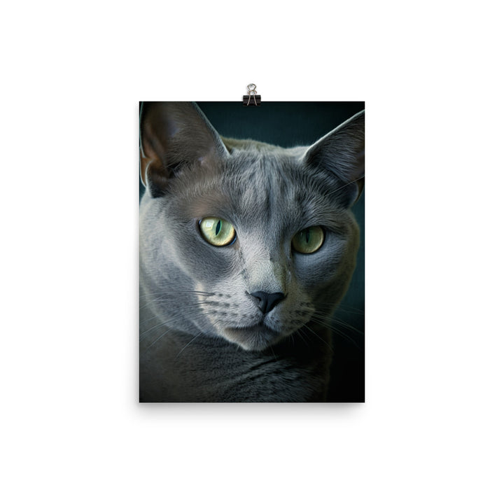 Russian Blue Cat Photo paper poster - PosterfyAI.com