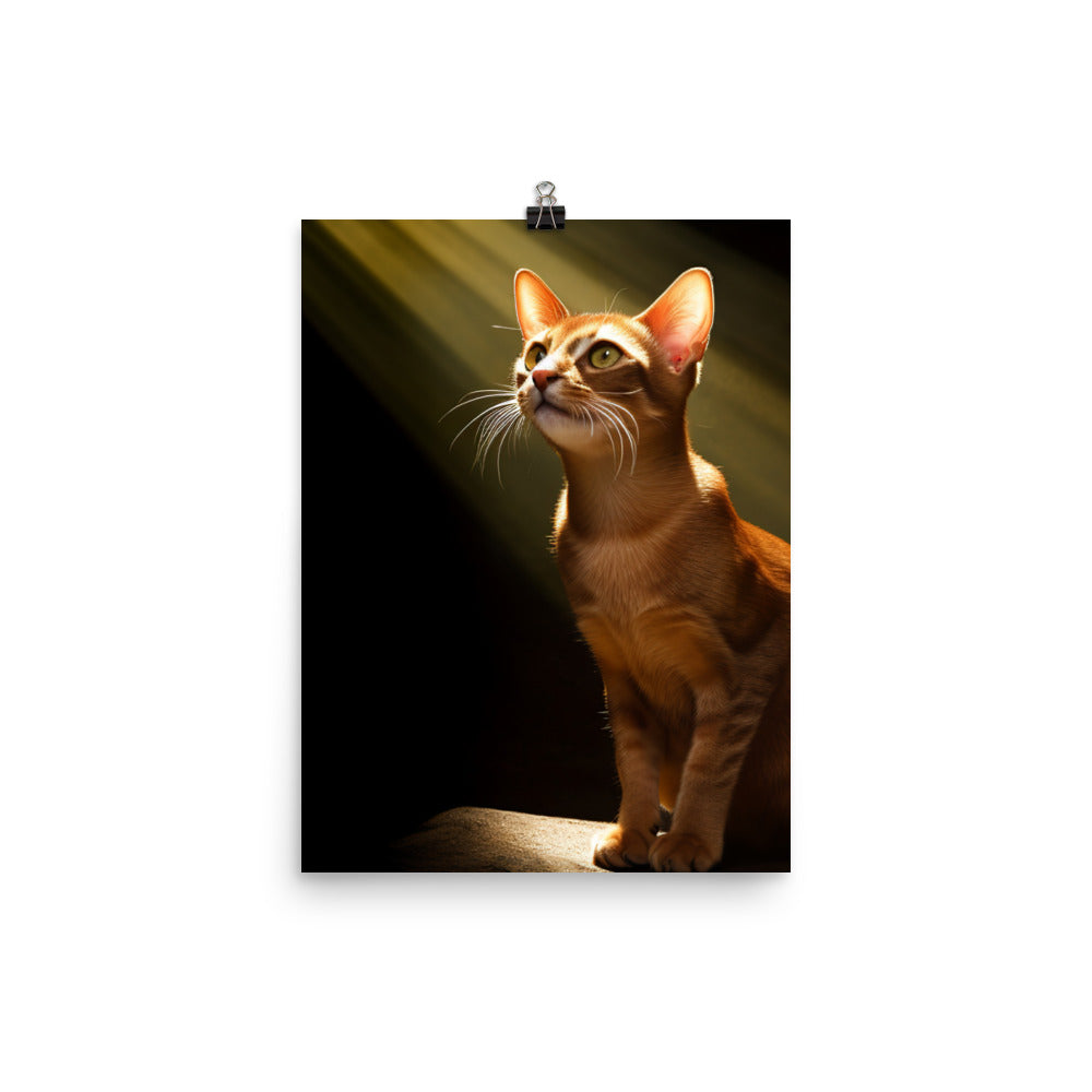 Playful Spirit of Abyssinian Cat Photo paper poster - PosterfyAI.com