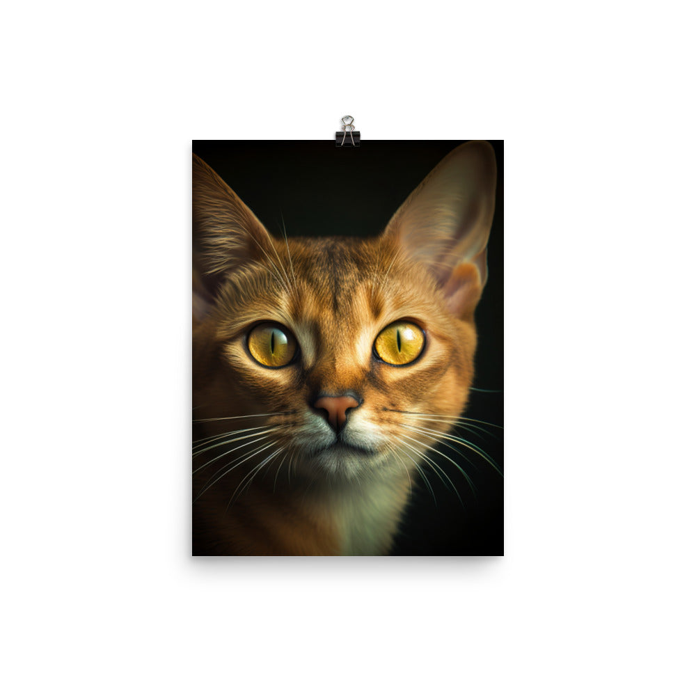 Eyes of Abyssinian Cat Photo paper poster - PosterfyAI.com