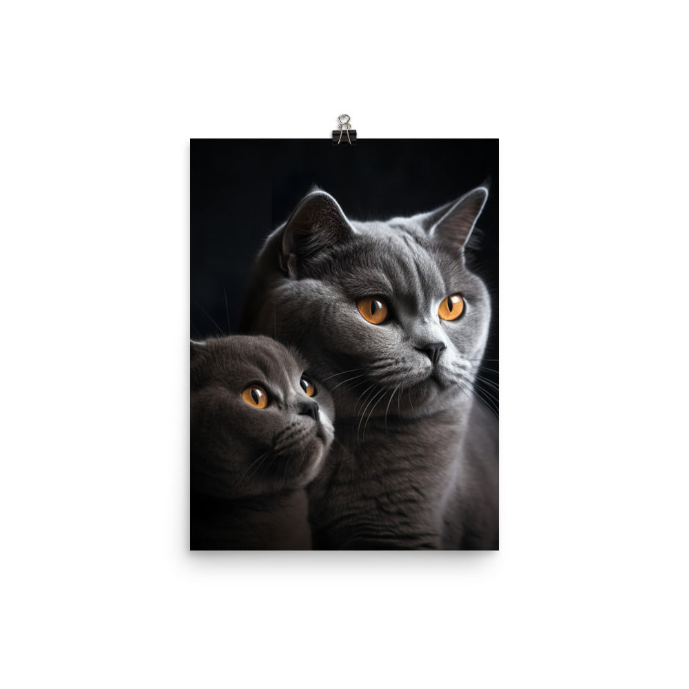 British Shorthair Cat Photo paper poster - PosterfyAI.com