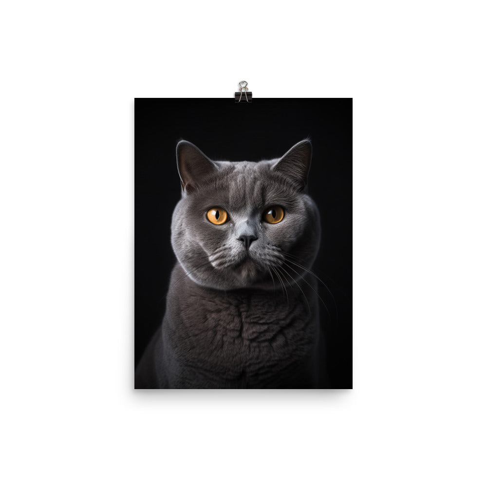 British Shorthair Cat in Portraits Photo paper poster - PosterfyAI.com