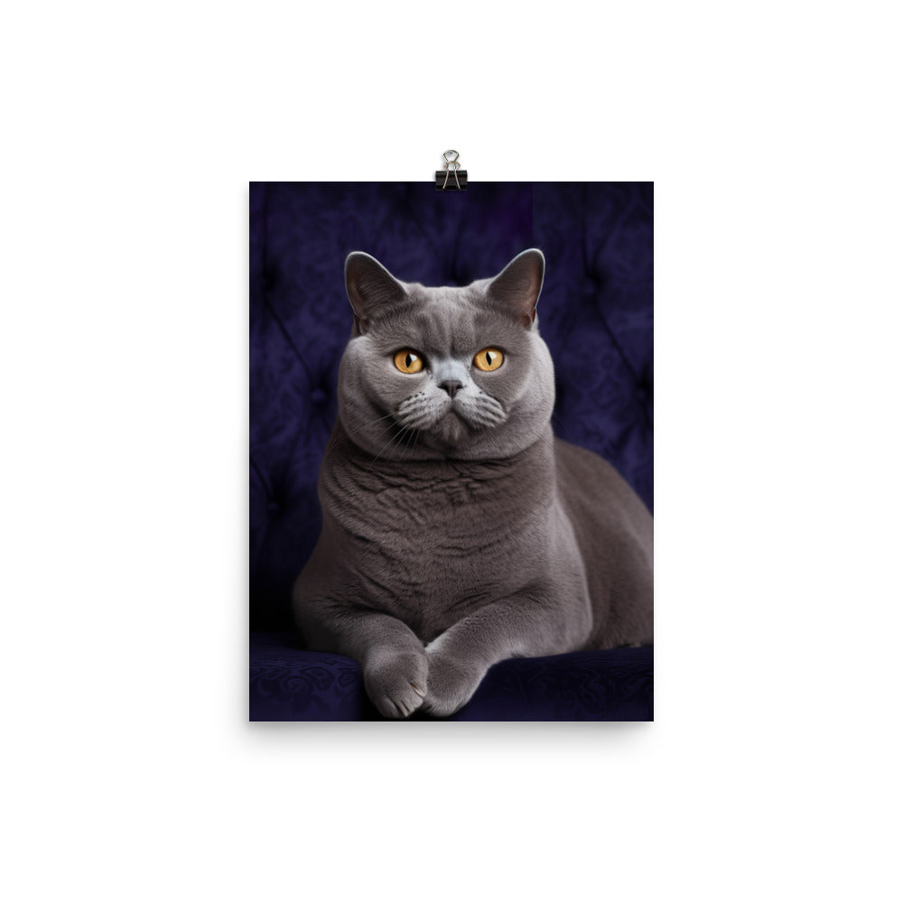 British Shorthair Cat in Portraits Photo paper poster - PosterfyAI.com