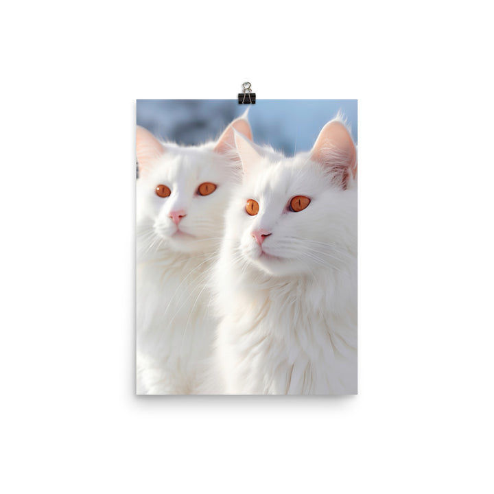 Turkish Van Cat in Winter Photo paper poster - PosterfyAI.com