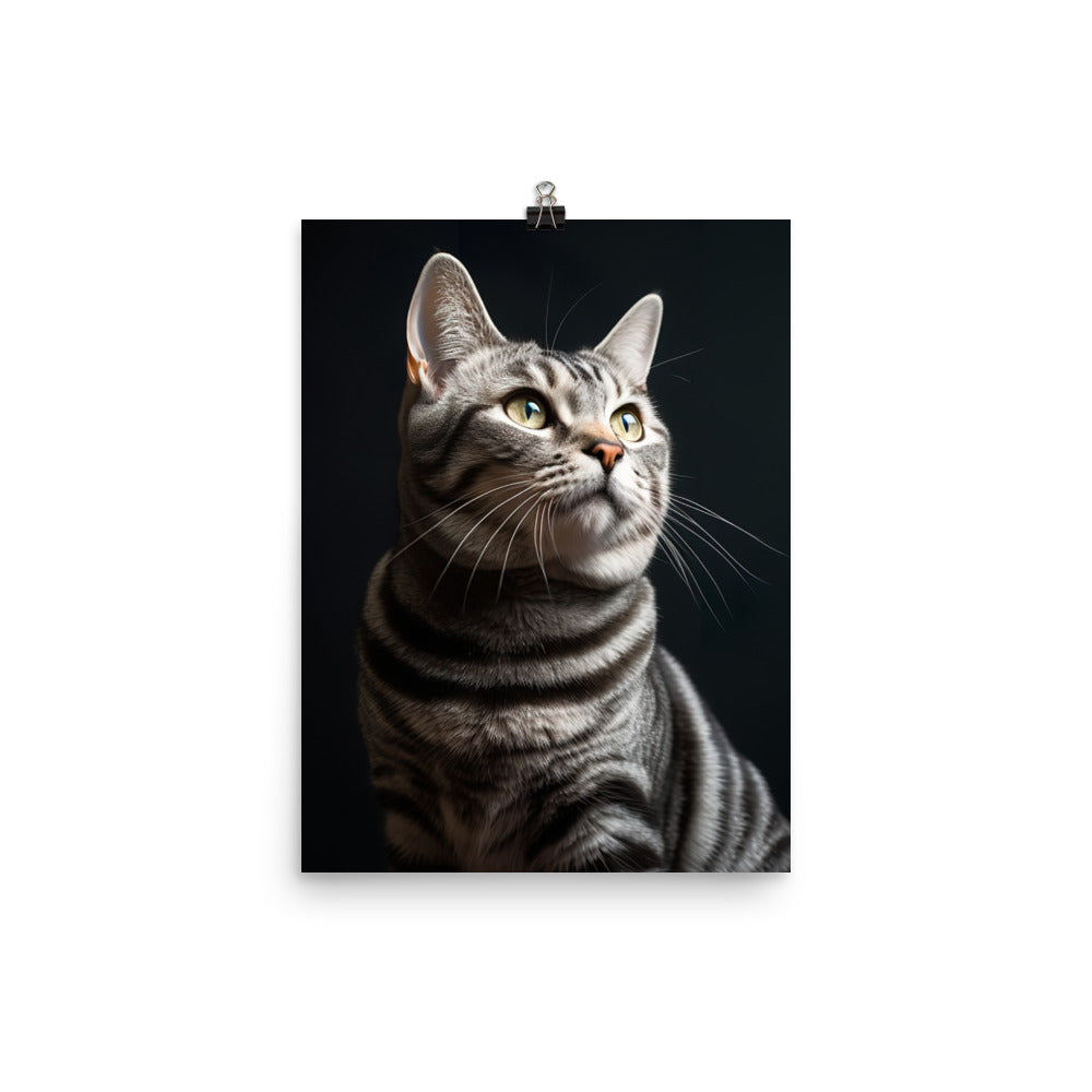 American Shorthair Cat Photo paper poster - PosterfyAI.com