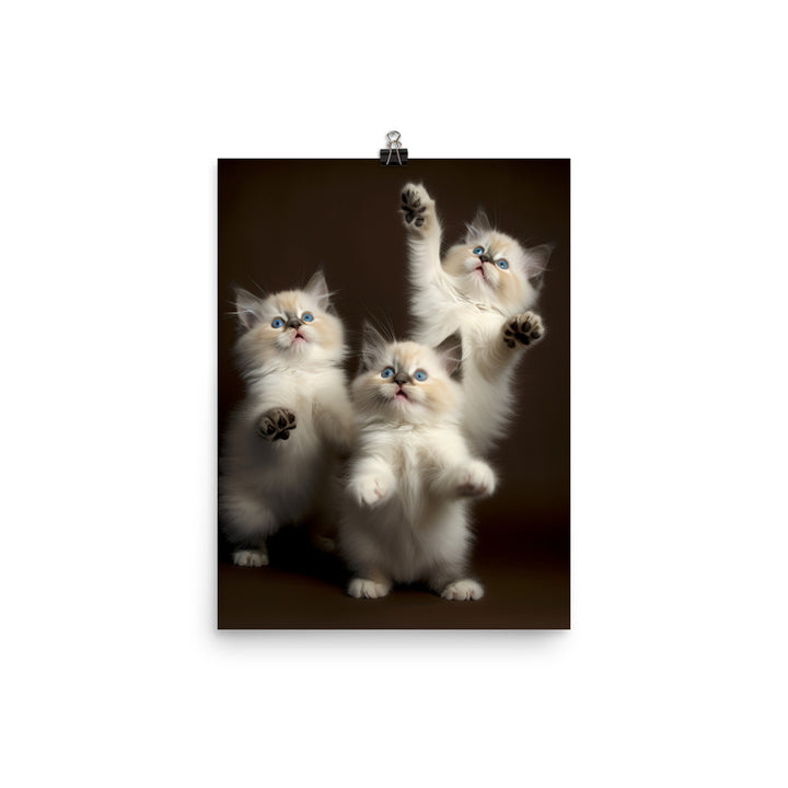 Ragdoll Kittens Photo paper poster - PosterfyAI.com