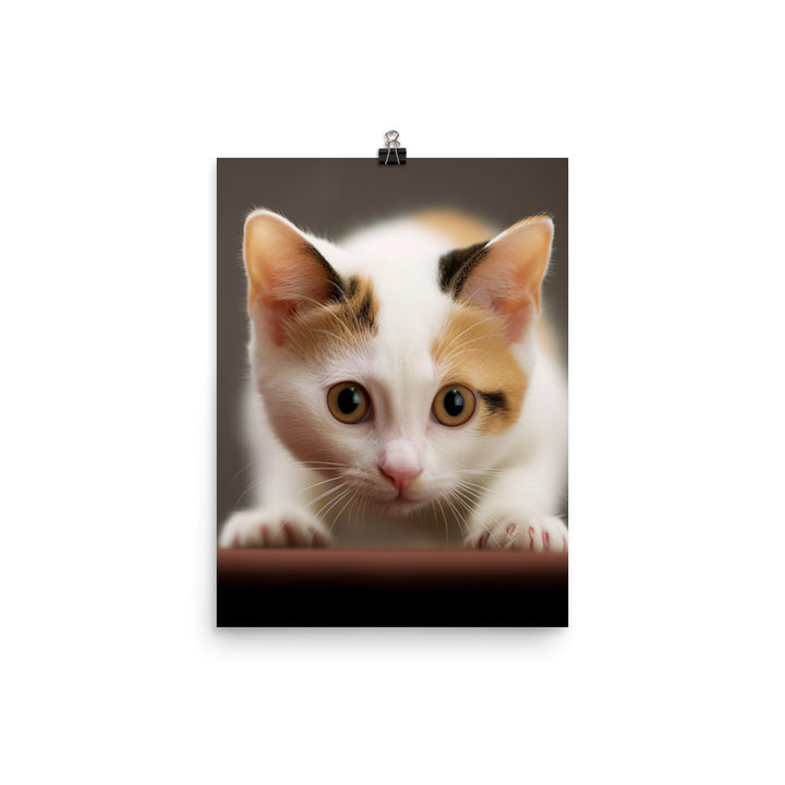 Japanese Bobtail Kitten Photo paper poster - PosterfyAI.com