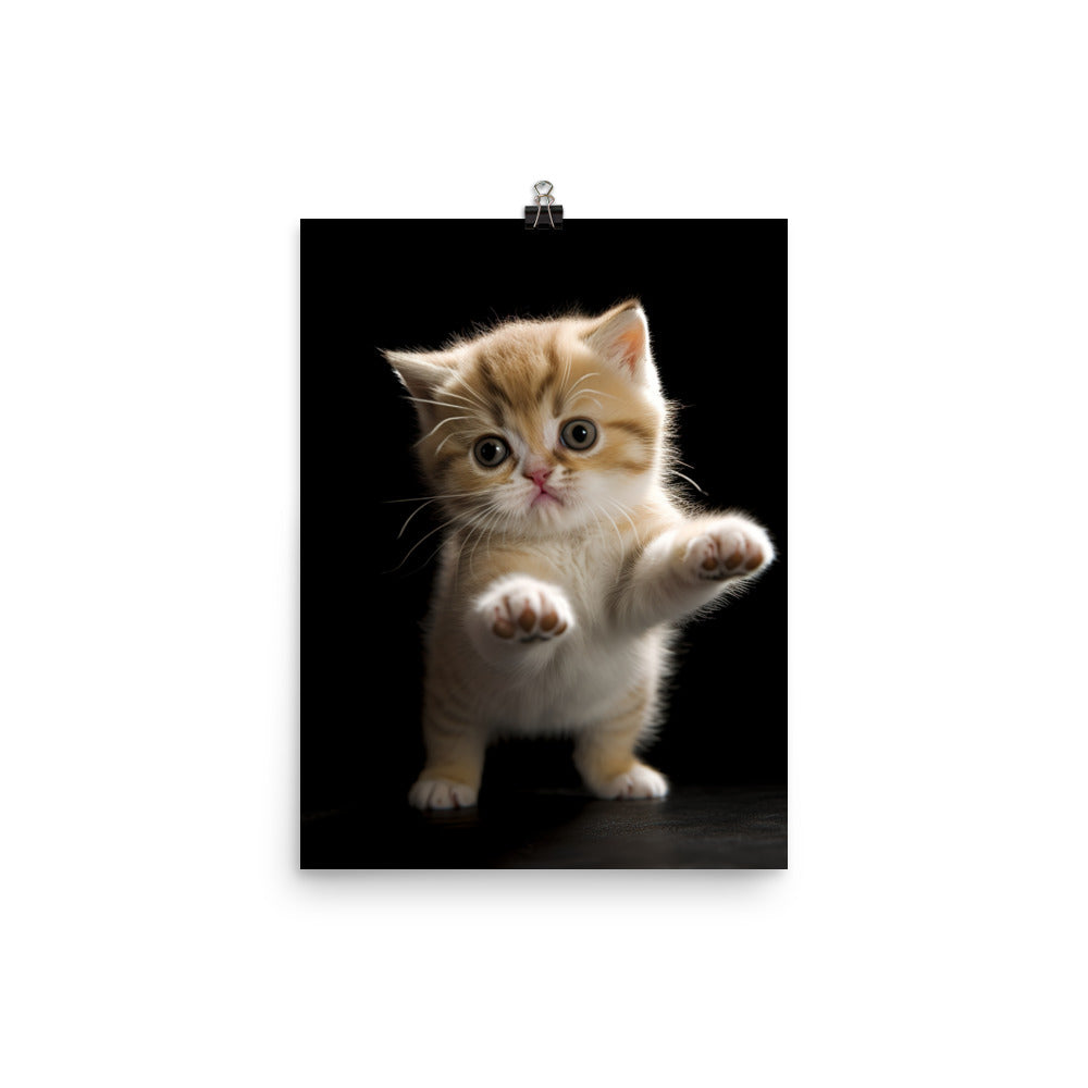 Exotic Shorthair Kitten Photo paper poster - PosterfyAI.com