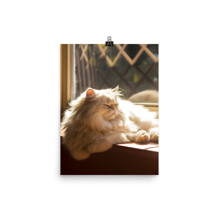 Persian Cat Relaxation Photo paper poster - PosterfyAI.com