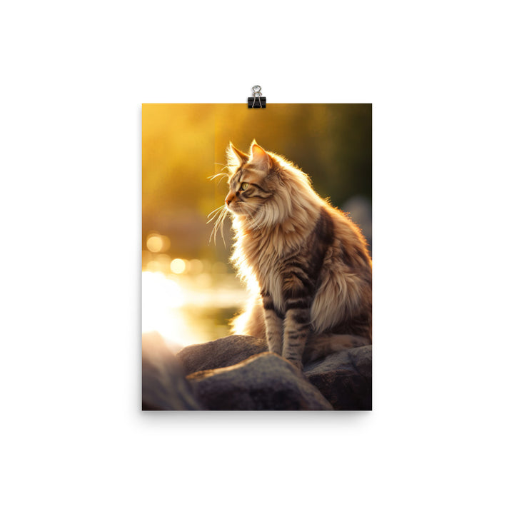 Maine Coon Elegance in Golden Hour Photo paper poster - PosterfyAI.com