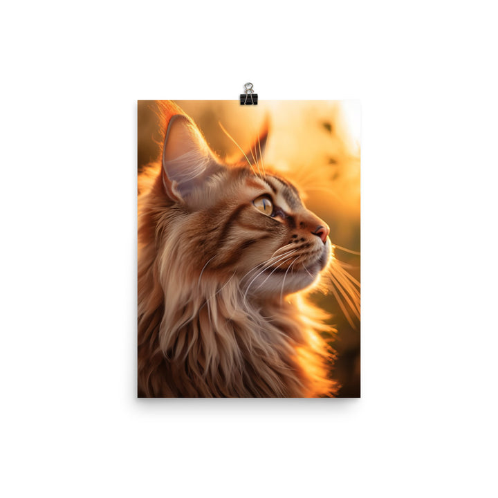 Maine Coon Elegance in Golden Hour Photo paper poster - PosterfyAI.com