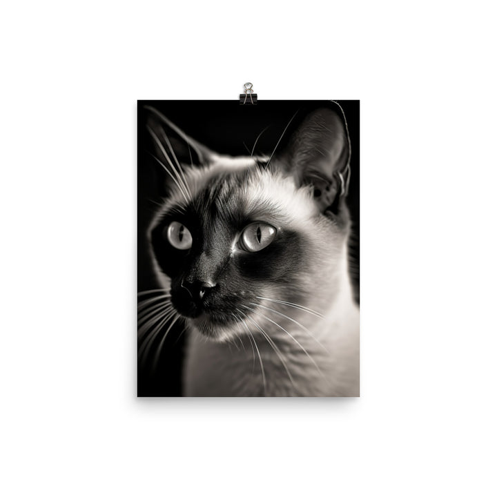 Siamese Charm in Black and White Photo paper poster - PosterfyAI.com