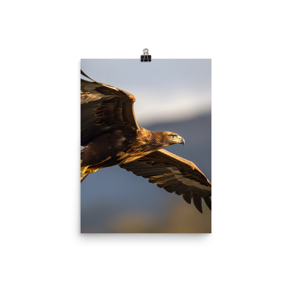 Golden Eagle soaring high in the sky Photo paper poster - PosterfyAI.com