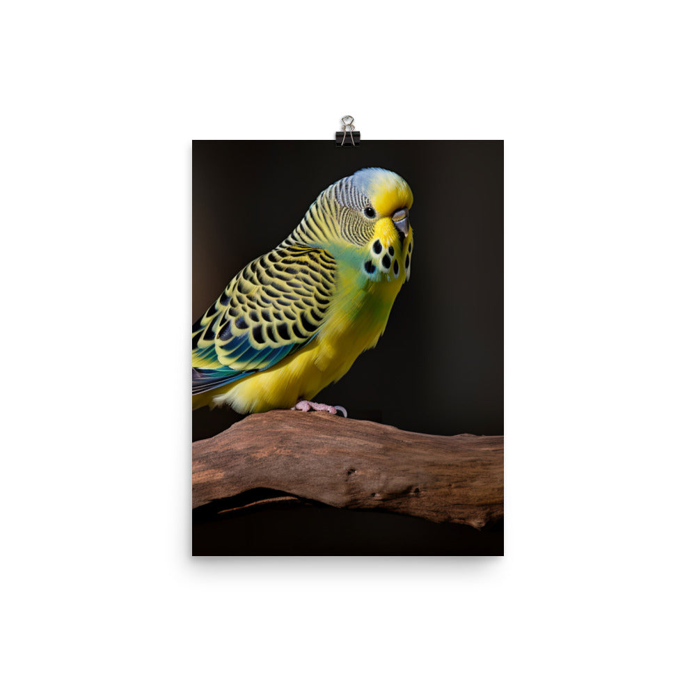 Cheerful Budgie on a Perch Photo paper poster - PosterfyAI.com