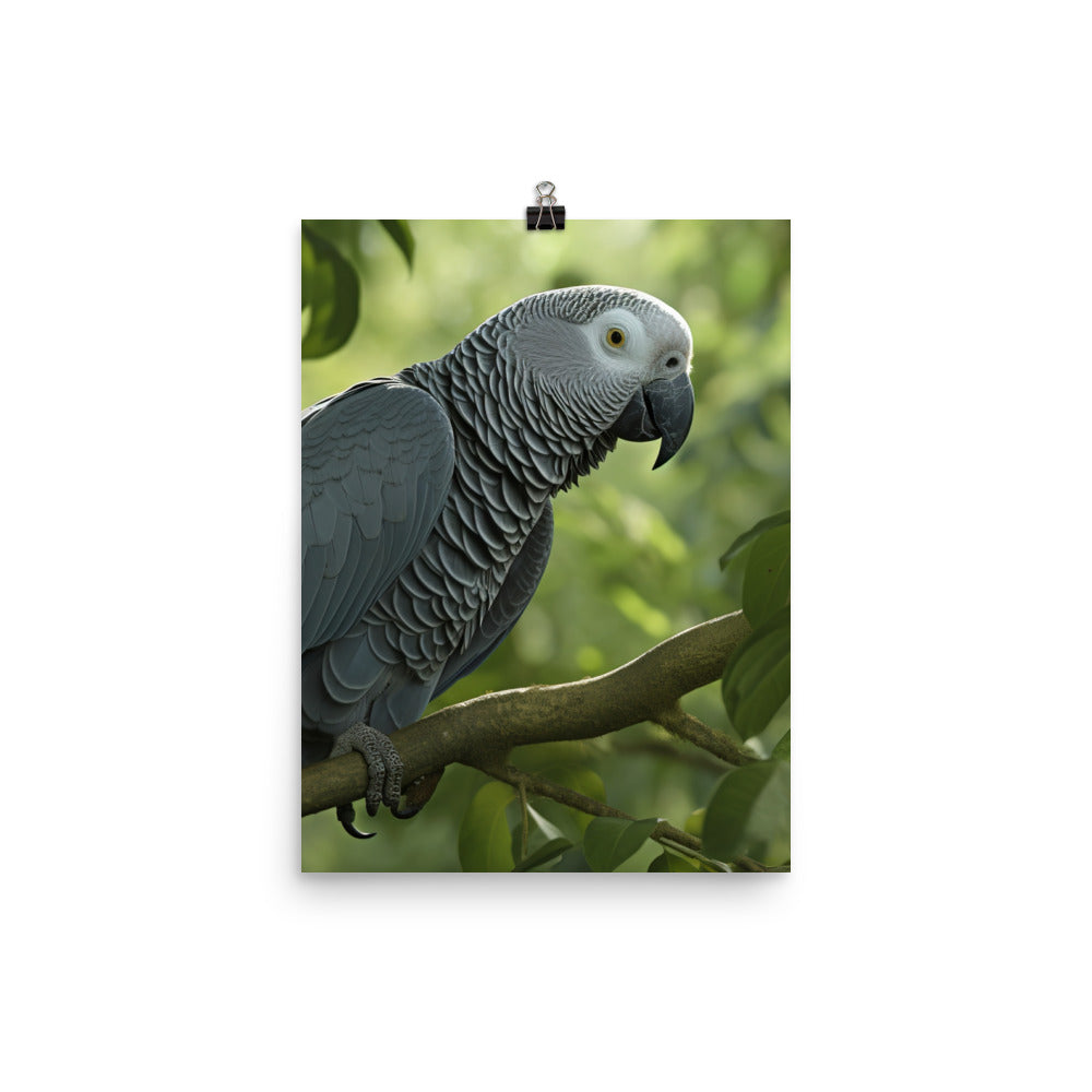 African Grey Parrot in Natural Habitat Photo paper poster - PosterfyAI.com