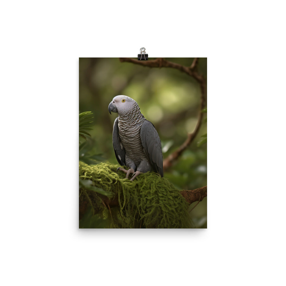 African Grey Parrot in Natural Habitat Photo paper poster - PosterfyAI.com