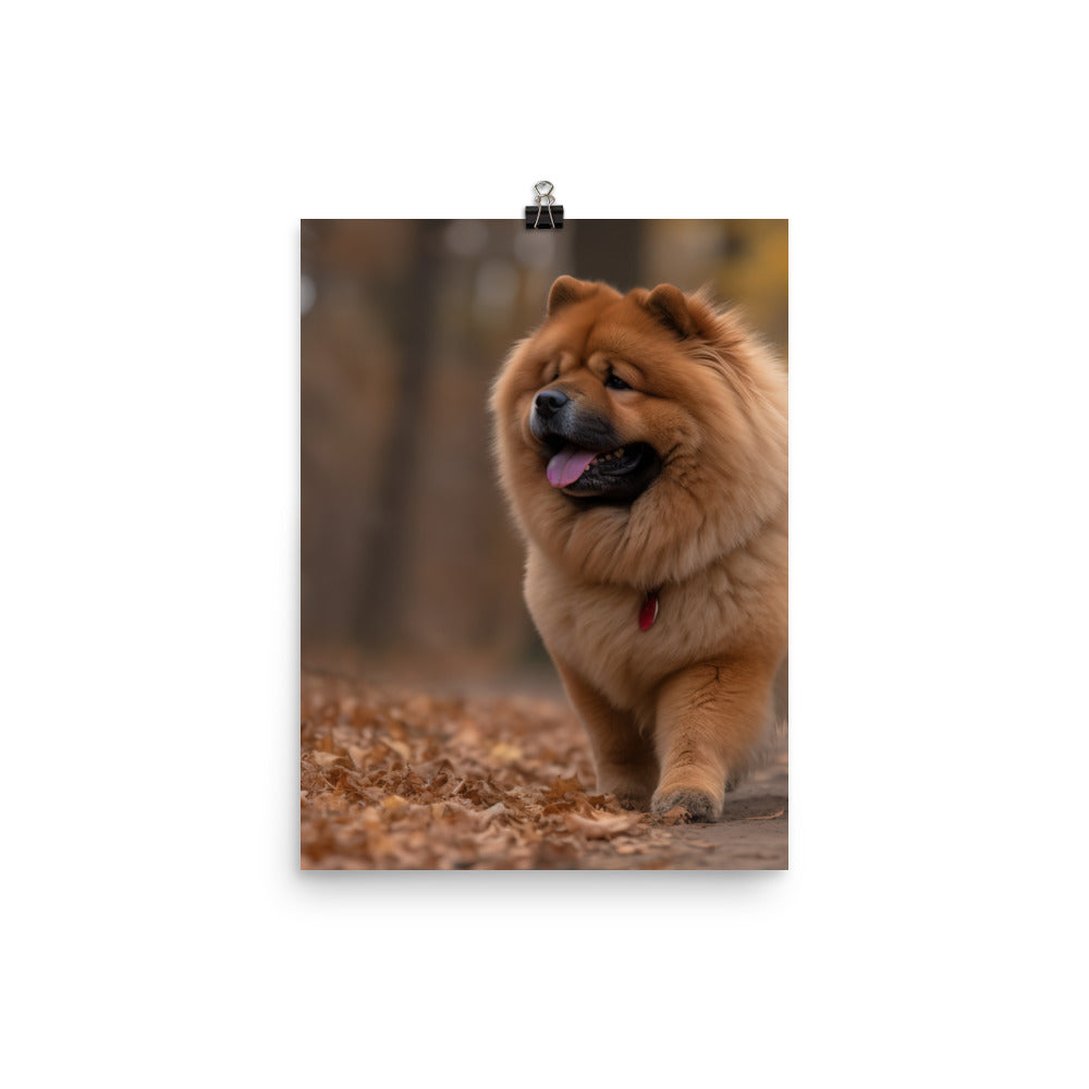 Chow Chow Taking a Leisurely Stroll Photo paper poster - PosterfyAI.com