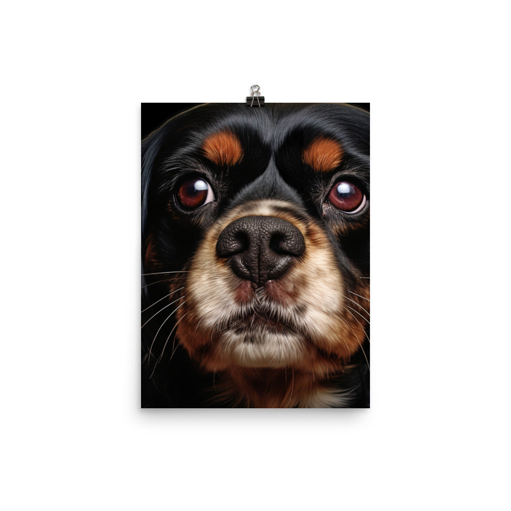 Cavalier King Charles Spaniel Photo paper poster - PosterfyAI.com