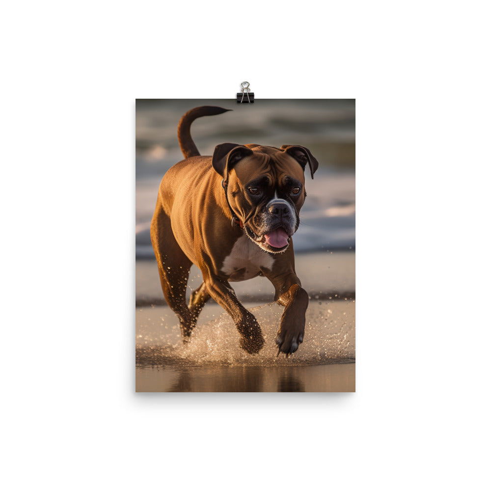Boxer on the Beach Photo paper poster - PosterfyAI.com