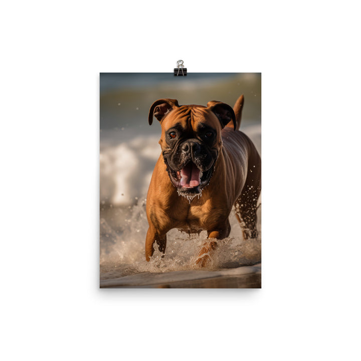 Boxer on the Beach Photo paper poster - PosterfyAI.com