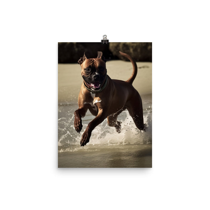 Boxer at the Beach Photo paper poster - PosterfyAI.com
