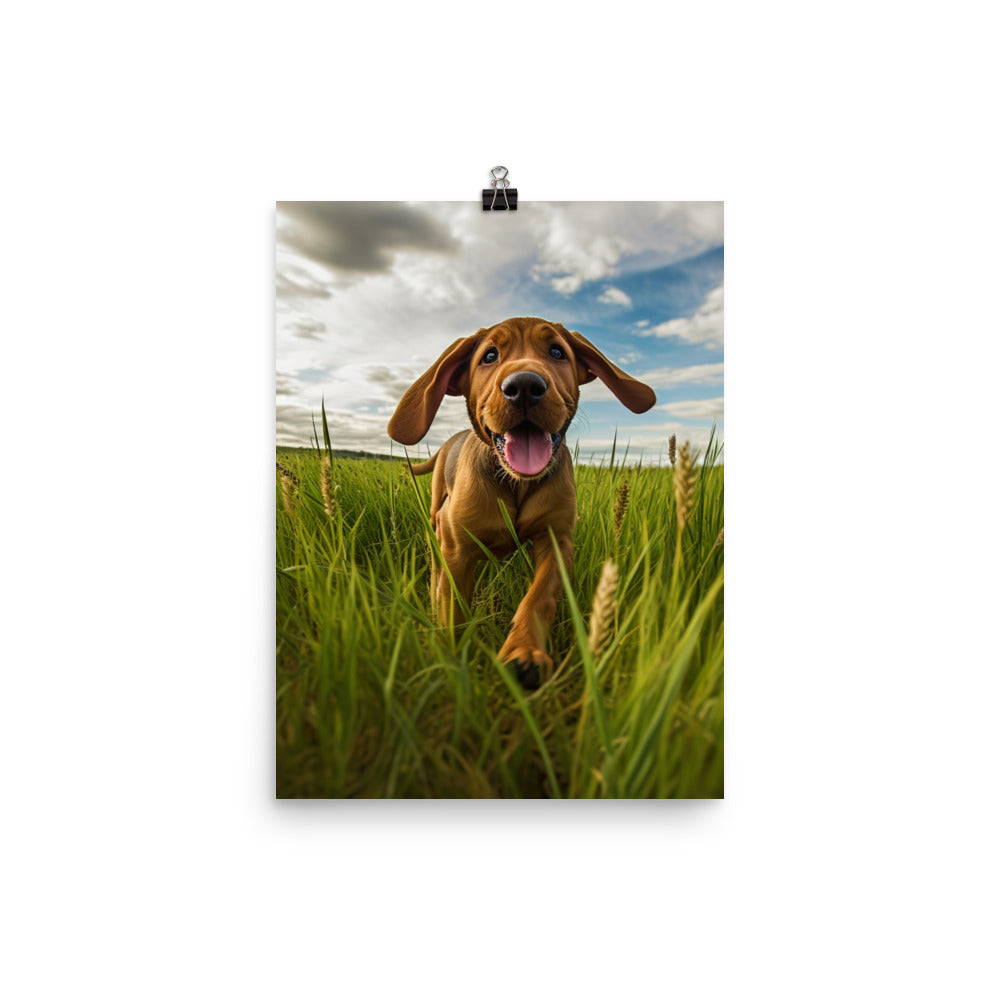 Bloodhounds Playtime Photo paper poster - PosterfyAI.com