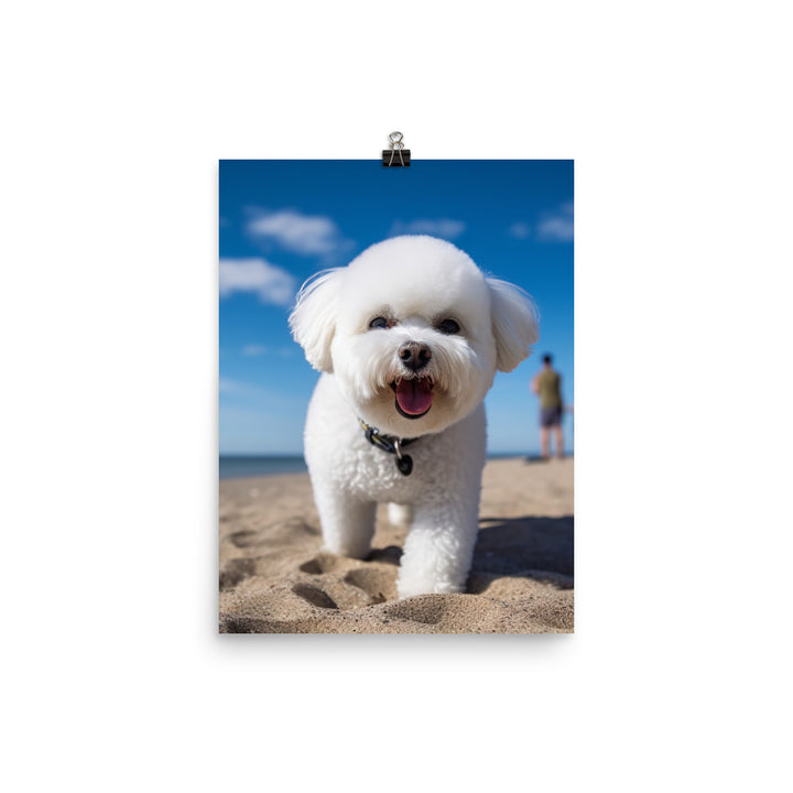 Bichon Frise on a Beach Photo paper poster - PosterfyAI.com