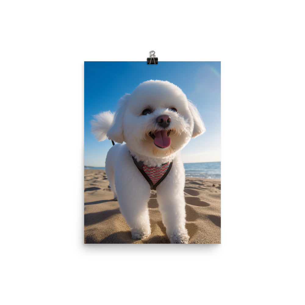 Bichon Frise on a Beach Photo paper poster - PosterfyAI.com