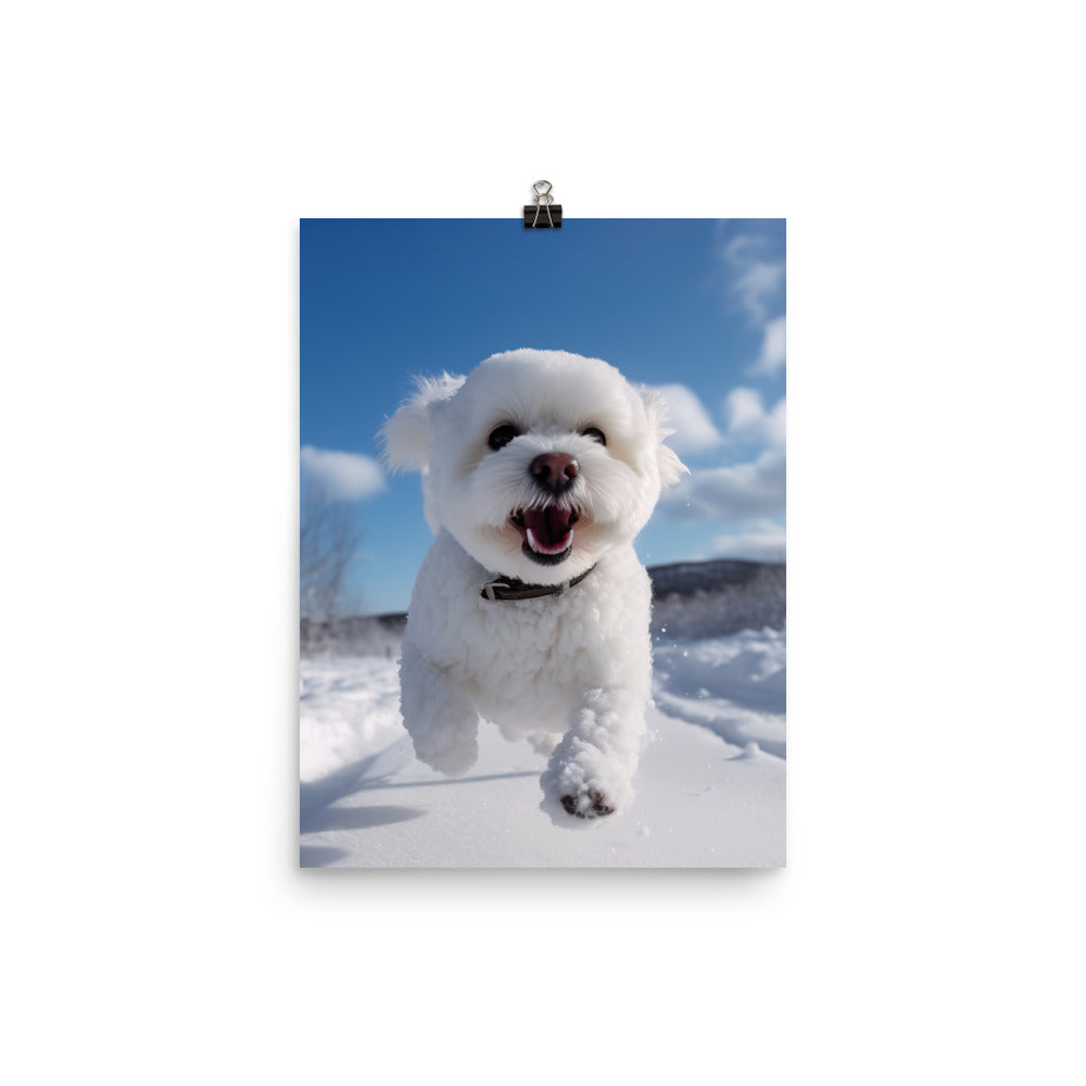 Bichon Frise in the Snow Photo paper poster - PosterfyAI.com