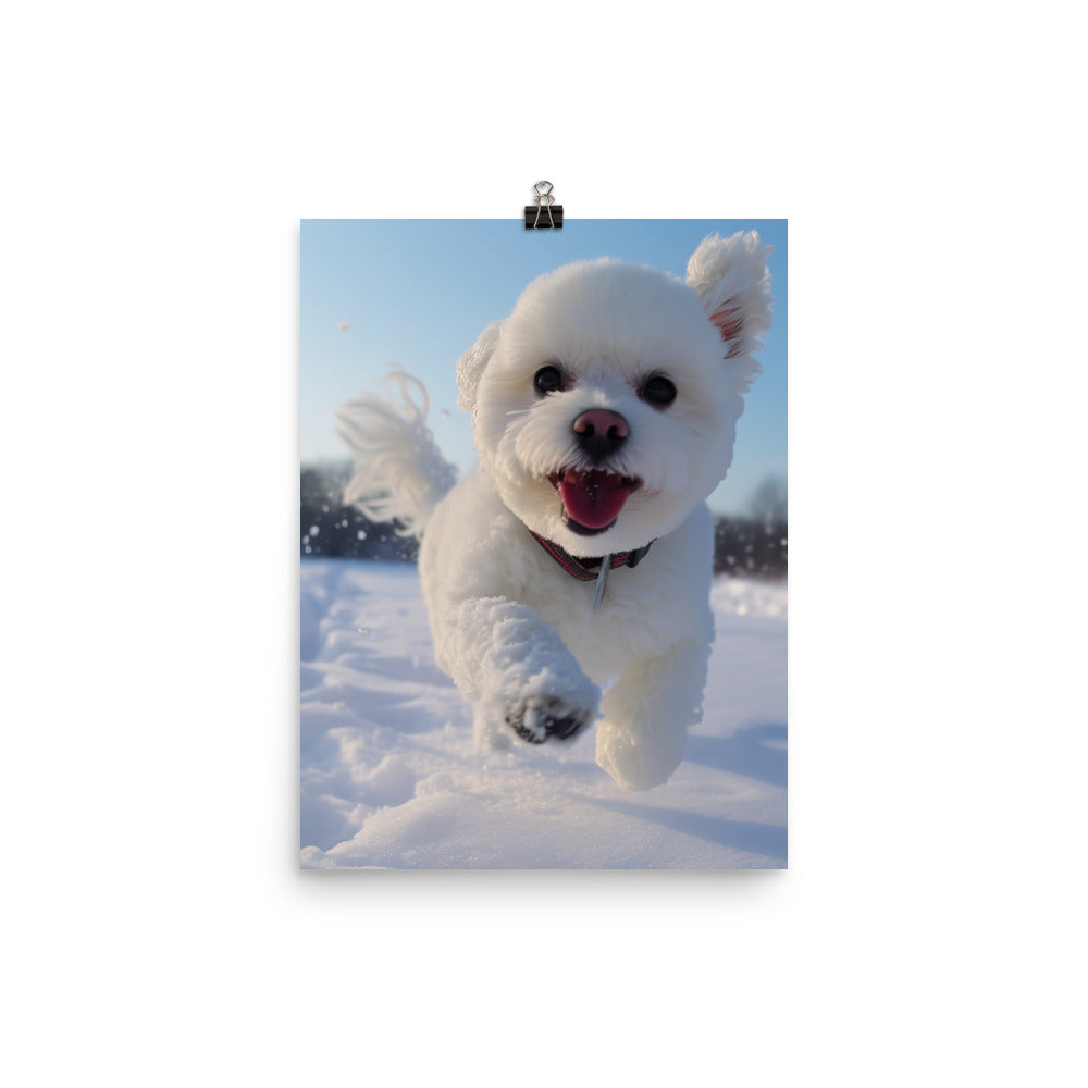 Bichon Frise in the Snow Photo paper poster - PosterfyAI.com