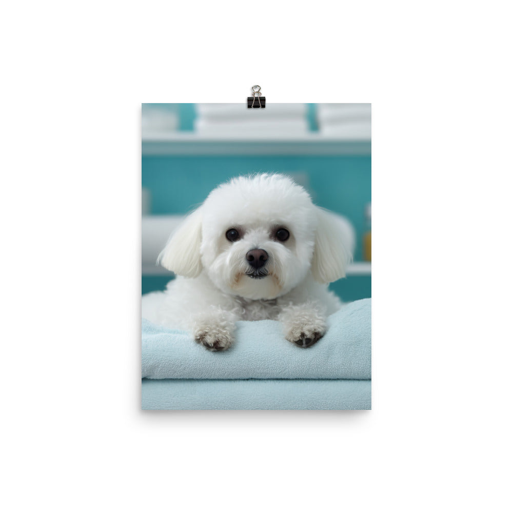 Bichon Frise in a Spa Photo paper poster - PosterfyAI.com