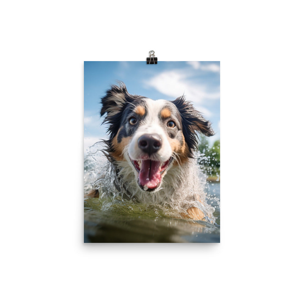 Australian Shepherd playing Photo paper poster - PosterfyAI.com