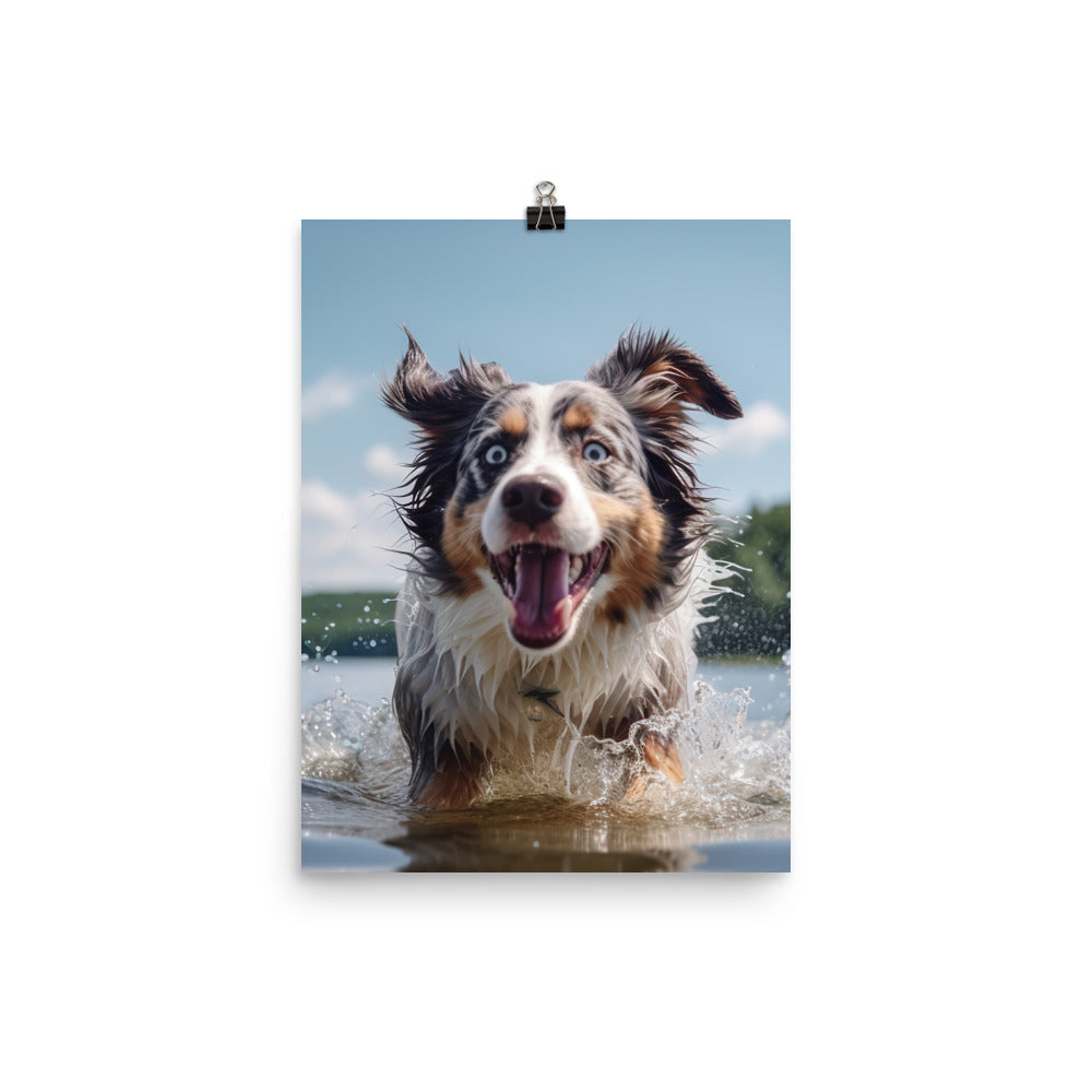 Australian Shepherd playing Photo paper poster - PosterfyAI.com