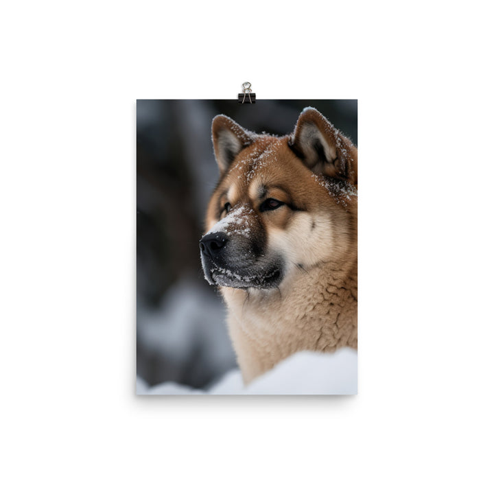 Akita in the Snow Photo paper poster - PosterfyAI.com